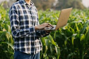 Agriculturist utilize the core data network in the Internet from the mobile to validate, test, and select the new crop method. Young farmers and tobacco farming photo