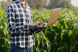 Agriculturist utilize the core data network in the Internet from the mobile to validate, test, and select the new crop method. Young farmers and tobacco farming photo