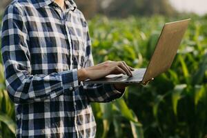 Agriculturist utilize the core data network in the Internet from the mobile to validate, test, and select the new crop method. Young farmers and tobacco farming photo