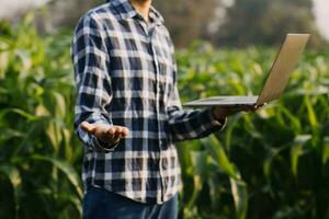Agriculturist utilize the core data network in the Internet from the mobile to validate, test, and select the new crop method. Young farmers and tobacco farming photo