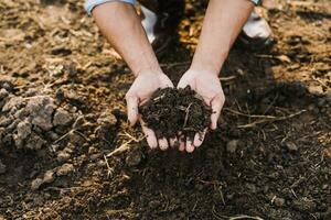 Male hands touching soil on the field. Expert hand of farmer checking soil health before growth a seed of vegetable or plant seedling. Business or ecology concept. photo