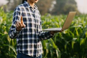 Agriculturist utilize the core data network in the Internet from the mobile to validate, test, and select the new crop method. Young farmers and tobacco farming photo