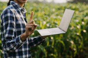 Agriculturist utilize the core data network in the Internet from the mobile to validate, test, and select the new crop method. Young farmers and tobacco farming photo