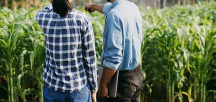 Agriculturist utilize the core data network in the Internet from the mobile to validate, test, and select the new crop method. Young farmers and tobacco farming photo