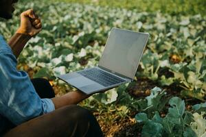 Agriculturist utilize the core data network in the Internet from the mobile to validate, test, and select the new crop method. Young farmers and tobacco farming photo