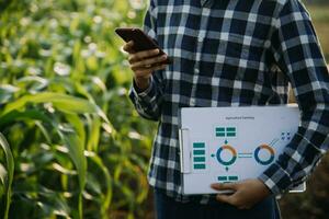 Agriculturist utilize the core data network in the Internet from the mobile to validate, test, and select the new crop method. Young farmers and tobacco farming photo