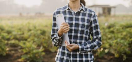 Agriculturist utilize the core data network in the Internet from the mobile to validate, test, and select the new crop method. Young farmers and tobacco farming photo