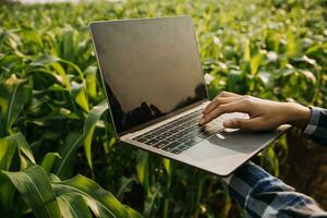 Agriculturist utilize the core data network in the Internet from the mobile to validate, test, and select the new crop method. Young farmers and tobacco farming photo