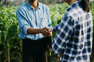 Agriculturist utilize the core data network in the Internet from the mobile to validate, test, and select the new crop method. Young farmers and tobacco farming photo