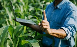 Agriculturist utilize the core data network in the Internet from the mobile to validate, test, and select the new crop method. Young farmers and tobacco farming photo