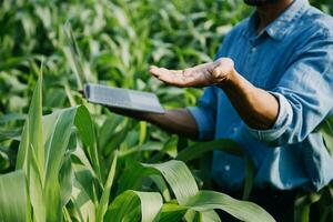 agricultor utilizar el núcleo datos red en el Internet desde el móvil a validar, prueba, y Seleccione el nuevo cosecha método. joven agricultores y tabaco agricultura foto