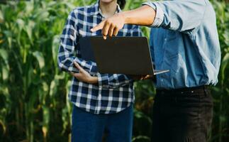 Agriculturist utilize the core data network in the Internet from the mobile to validate, test, and select the new crop method. Young farmers and tobacco farming photo