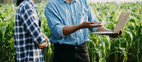 Agriculturist utilize the core data network in the Internet from the mobile to validate, test, and select the new crop method. Young farmers and tobacco farming photo