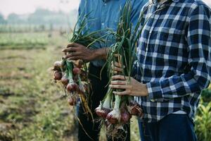 Agriculturist utilize the core data network in the Internet from the mobile to validate, test, and select the new crop method. Young farmers and tobacco farming photo