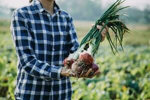 Agriculturist utilize the core data network in the Internet from the mobile to validate, test, and select the new crop method. Young farmers and tobacco farming photo