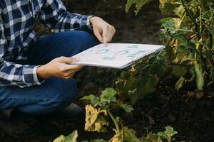 Agriculturist utilize the core data network in the Internet from the mobile to validate, test, and select the new crop method. Young farmers and tobacco farming photo