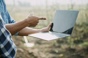 Agriculturist utilize the core data network in the Internet from the mobile to validate, test, and select the new crop method. Young farmers and tobacco farming photo