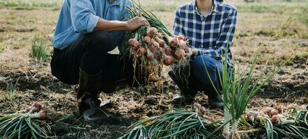 Agriculturist utilize the core data network in the Internet from the mobile to validate, test, and select the new crop method. Young farmers and tobacco farming photo