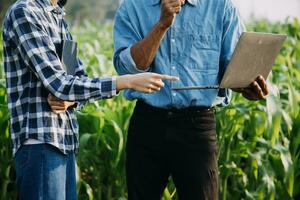 Agriculturist utilize the core data network in the Internet from the mobile to validate, test, and select the new crop method. Young farmers and tobacco farming photo
