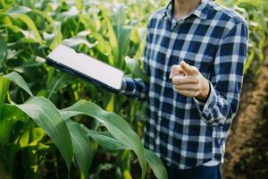 Agriculturist utilize the core data network in the Internet from the mobile to validate, test, and select the new crop method. Young farmers and tobacco farming photo