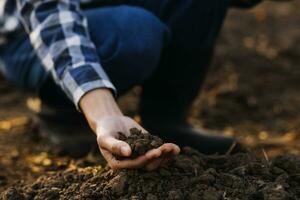 Male hands touching soil on the field. Expert hand of farmer checking soil health before growth a seed of vegetable or plant seedling. Business or ecology concept. photo