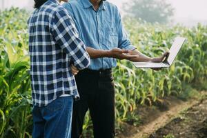 Agriculturist utilize the core data network in the Internet from the mobile to validate, test, and select the new crop method. Young farmers and tobacco farming photo