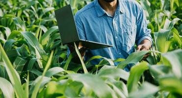 Agriculturist utilize the core data network in the Internet from the mobile to validate, test, and select the new crop method. Young farmers and tobacco farming photo