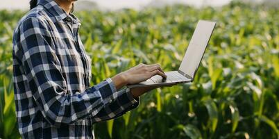 Agriculturist utilize the core data network in the Internet from the mobile to validate, test, and select the new crop method. Young farmers and tobacco farming photo