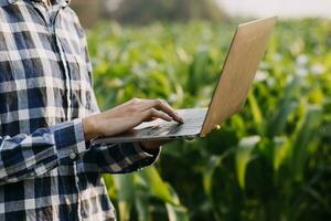 Agriculturist utilize the core data network in the Internet from the mobile to validate, test, and select the new crop method. Young farmers and tobacco farming photo