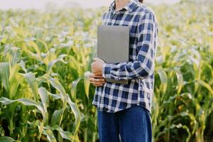 Agriculturist utilize the core data network in the Internet from the mobile to validate, test, and select the new crop method. Young farmers and tobacco farming photo