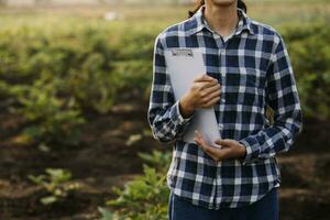 Agriculturist utilize the core data network in the Internet from the mobile to validate, test, and select the new crop method. Young farmers and tobacco farming photo