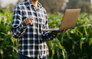 Agriculturist utilize the core data network in the Internet from the mobile to validate, test, and select the new crop method. Young farmers and tobacco farming photo