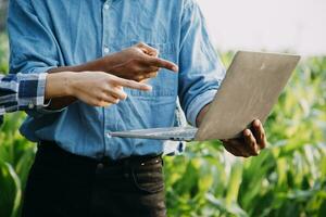 Agriculturist utilize the core data network in the Internet from the mobile to validate, test, and select the new crop method. Young farmers and tobacco farming photo