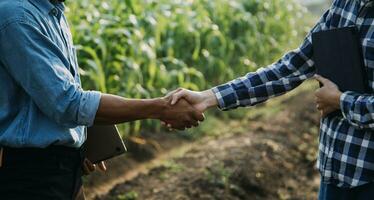 Agriculturist utilize the core data network in the Internet from the mobile to validate, test, and select the new crop method. Young farmers and tobacco farming photo