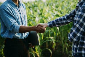 Agriculturist utilize the core data network in the Internet from the mobile to validate, test, and select the new crop method. Young farmers and tobacco farming photo