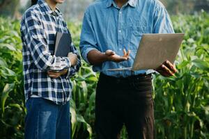 Agriculturist utilize the core data network in the Internet from the mobile to validate, test, and select the new crop method. Young farmers and tobacco farming photo