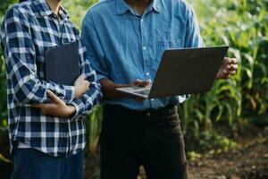Agriculturist utilize the core data network in the Internet from the mobile to validate, test, and select the new crop method. Young farmers and tobacco farming photo