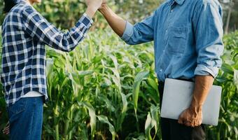 Agriculturist utilize the core data network in the Internet from the mobile to validate, test, and select the new crop method. Young farmers and tobacco farming photo