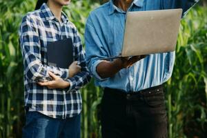 Agriculturist utilize the core data network in the Internet from the mobile to validate, test, and select the new crop method. Young farmers and tobacco farming photo