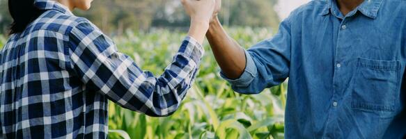 agricultor utilizar el núcleo datos red en el Internet desde el móvil a validar, prueba, y Seleccione el nuevo cosecha método. joven agricultores y tabaco agricultura foto