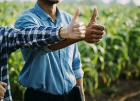 Agriculturist utilize the core data network in the Internet from the mobile to validate, test, and select the new crop method. Young farmers and tobacco farming photo