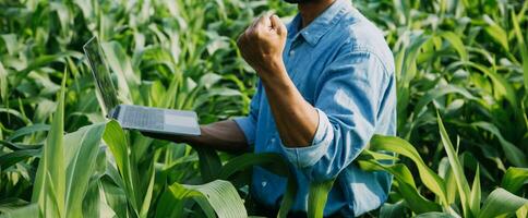 Agriculturist utilize the core data network in the Internet from the mobile to validate, test, and select the new crop method. Young farmers and tobacco farming photo