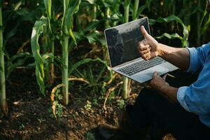 Agriculturist utilize the core data network in the Internet from the mobile to validate, test, and select the new crop method. Young farmers and tobacco farming photo