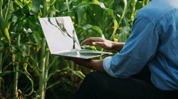 Agriculturist utilize the core data network in the Internet from the mobile to validate, test, and select the new crop method. Young farmers and tobacco farming photo