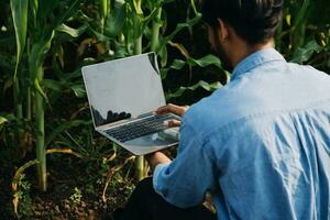 agricultor utilizar el núcleo datos red en el Internet desde el móvil a validar, prueba, y Seleccione el nuevo cosecha método. joven agricultores y tabaco agricultura foto