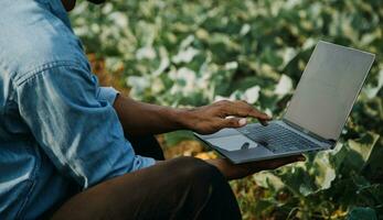 Agriculturist utilize the core data network in the Internet from the mobile to validate, test, and select the new crop method. Young farmers and tobacco farming photo