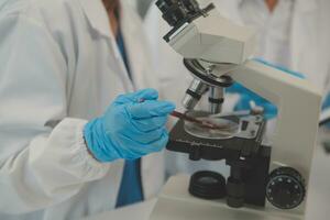 Health care researchers working in life science laboratory. Young female research scientist and senior male supervisor preparing and analyzing microscope slides in research lab. photo