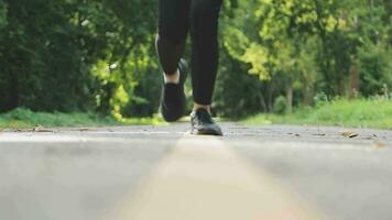 un' giovane donna corridore corre a tramonto nel un' parco nel il parco. video