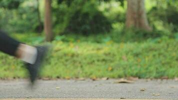 A young woman runner runs at sunset in a park in the park. video