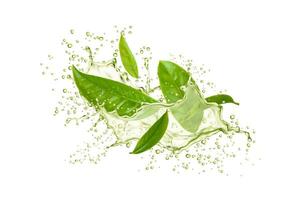 Green tea drink with leaves, splash drops of drink vector